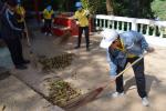 โครงการจิตอาสาพระราชทาน (Royal Thai Volunteers)