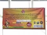 โครงการควบคุมจำนวนประชากรสุนัขและแมวในเขตจังหวัดระยอง